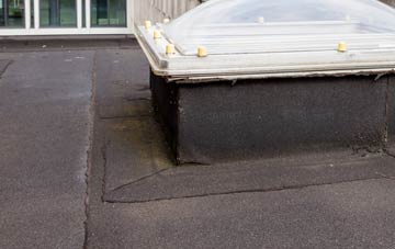 disadvantages of Tyn Y Groes flat roofs