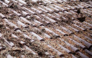 Tyn Y Groes roof cleaning companies