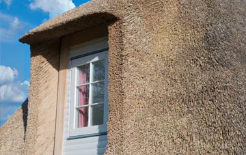 Tyn Y Groes thatch roof disadvantages